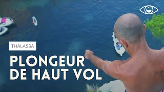 Il plonge à 30 mètres depuis les calanques de Cassis