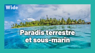 Fidji : l'archipel aux milles et un charmes