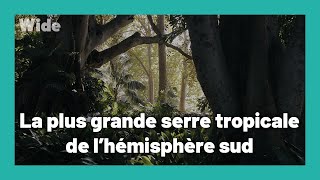 Jardin d'Adélaïde: 51 nuances de verdure