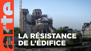 Documentaire L’Harmonie des forces | Notre-Dame de Paris, le chantier du siècle (2/3)
