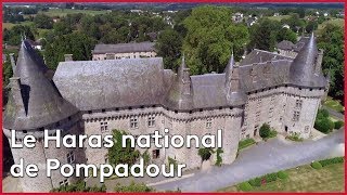 Le Haras national de Pompadour