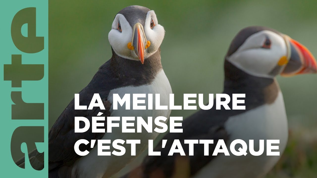 Le Pays de Galles sauvage en été