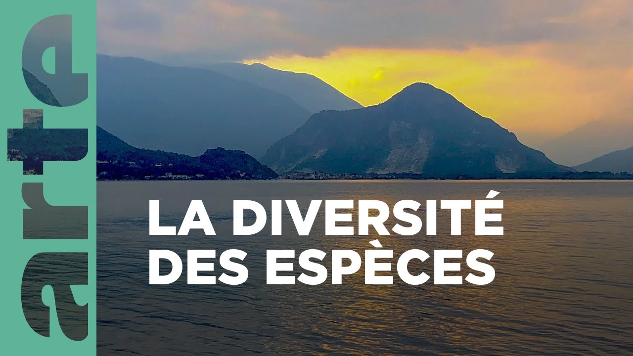 Le lac Majeur | Par-delà les Alpes
