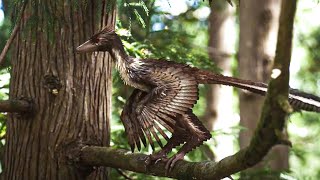 Le mystère des dragons à plumes | Les Mondes Perdus