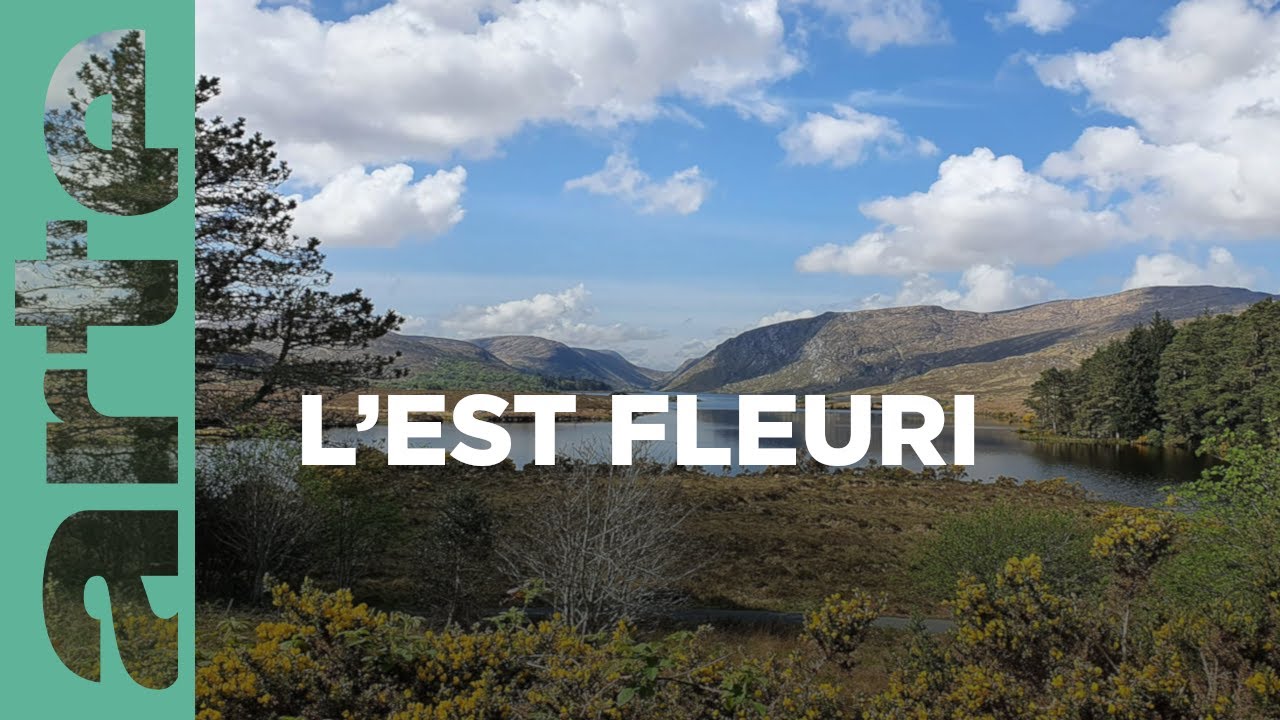 L'est fleuri | Aux quatre coins de l’Irlande