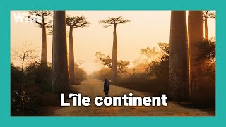 Madagascar : Un joyau naturel à protéger