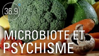 Documentaire Microbiote et psychisme
