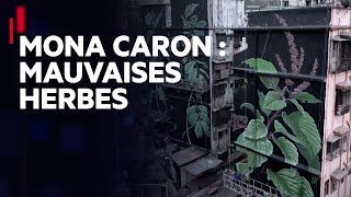 Mona Caron : l’artiste qui voit grand