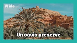 Documentaire Ouarzazate : Immersion totale dans la vie du désert
