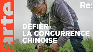 Documentaire Paprika, l’or rouge de Hongrie