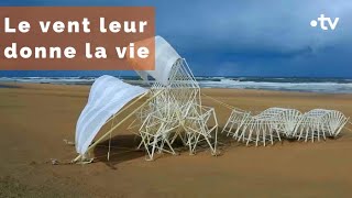 Poétique, complexe, surprenant...