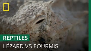 Quand on chasse, mieux vaut ne pas fermer l’œil
