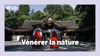 Documentaire Spiritualité japonaise : Un lien indéfectible avec la nature