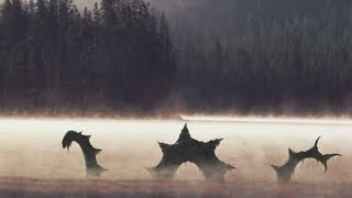 Storsie, mystère dans les eaux gelées de Suède – Créatures de Légendes