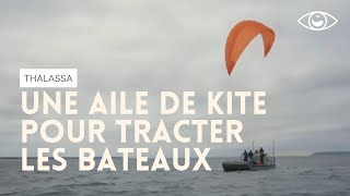 Documentaire Une aile de kitesurf géante peut-elle tracter les bateaux ?