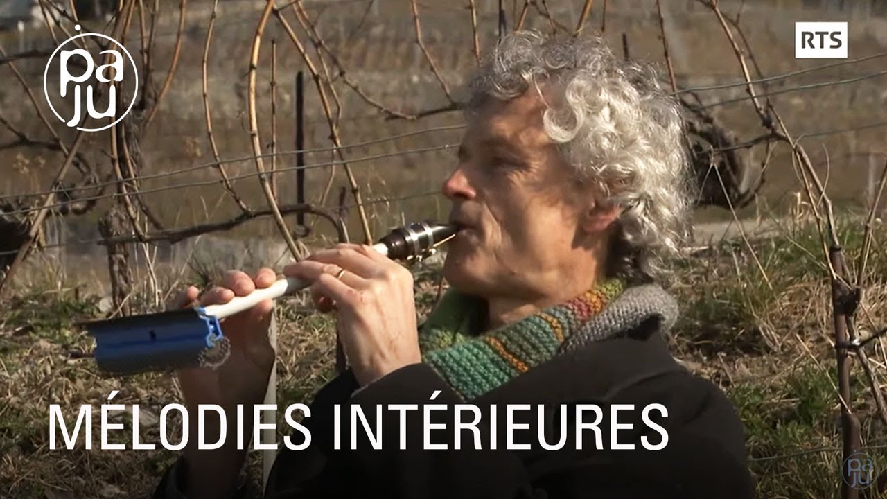 Documentaire Alexandre est un incroyable multi-instrumentiste habité par la musique