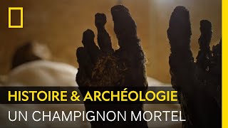 Documentaire Aspergillus flavus, un champignon mortel derrière la malédiction de Toutankhamon ?