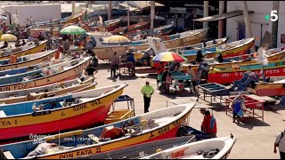Documentaire Chili, esprit nature : Valparaiso