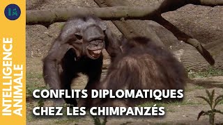 Coalition, corruption et séduction