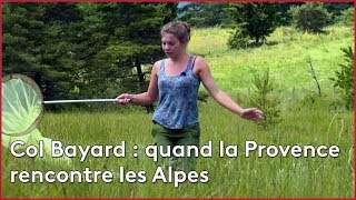 Documentaire Col Bayard, quand la Provence rencontre les Alpes