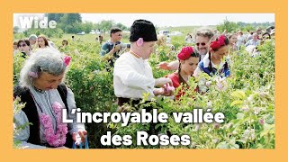 Comment la Bulgarie est devenue le pays de la Rose