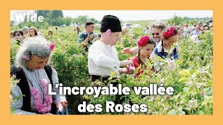 Documentaire Comment la Bulgarie est devenue le pays de la Rose