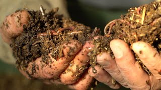 Compost : le bon réflexe pour réduire nos déchets
