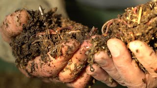 Documentaire Compost : le bon réflexe pour réduire nos déchets