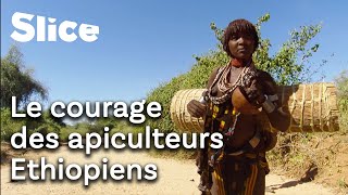 Construire une ruche à mains nues