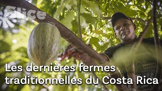 Documentaire Costa Rica : Cultiver le fruit des Dieux Indiens