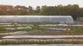 Documentaire Cuisiner local : les grands chefs montrent l’exemple