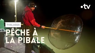 Dans le quotidien des pêcheurs