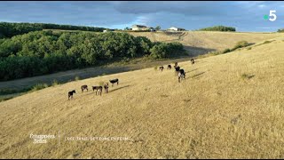 Documentaire Midi-Pyrénées de ferme en ferme