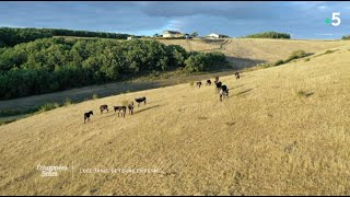 Midi-Pyrénées de ferme en ferme