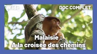 Documentaire Entre développement et défis écologiques