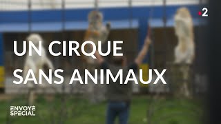 Documentaire Un cirque sans animaux