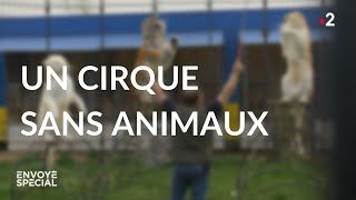 Un cirque sans animaux