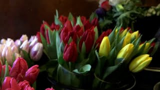 Fleurs : offrez un bouquet de pesticides !