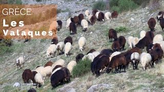 Grèce - Les Valaques