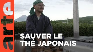 Japon, le combat d’un maître de thé