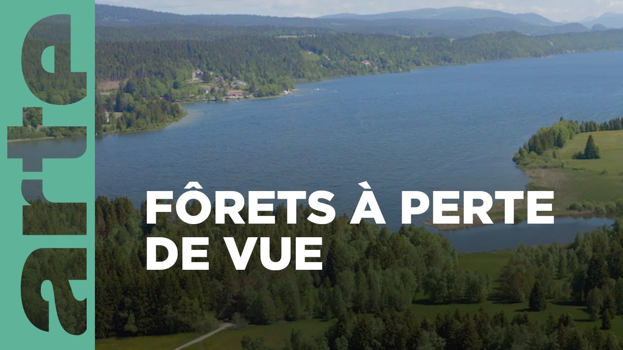 Documentaire Le parc naturel Jura vaudois  | La Suisse sauvage