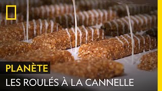 Documentaire Le parfum des roulés à la cannelle est à en tomber par terre !