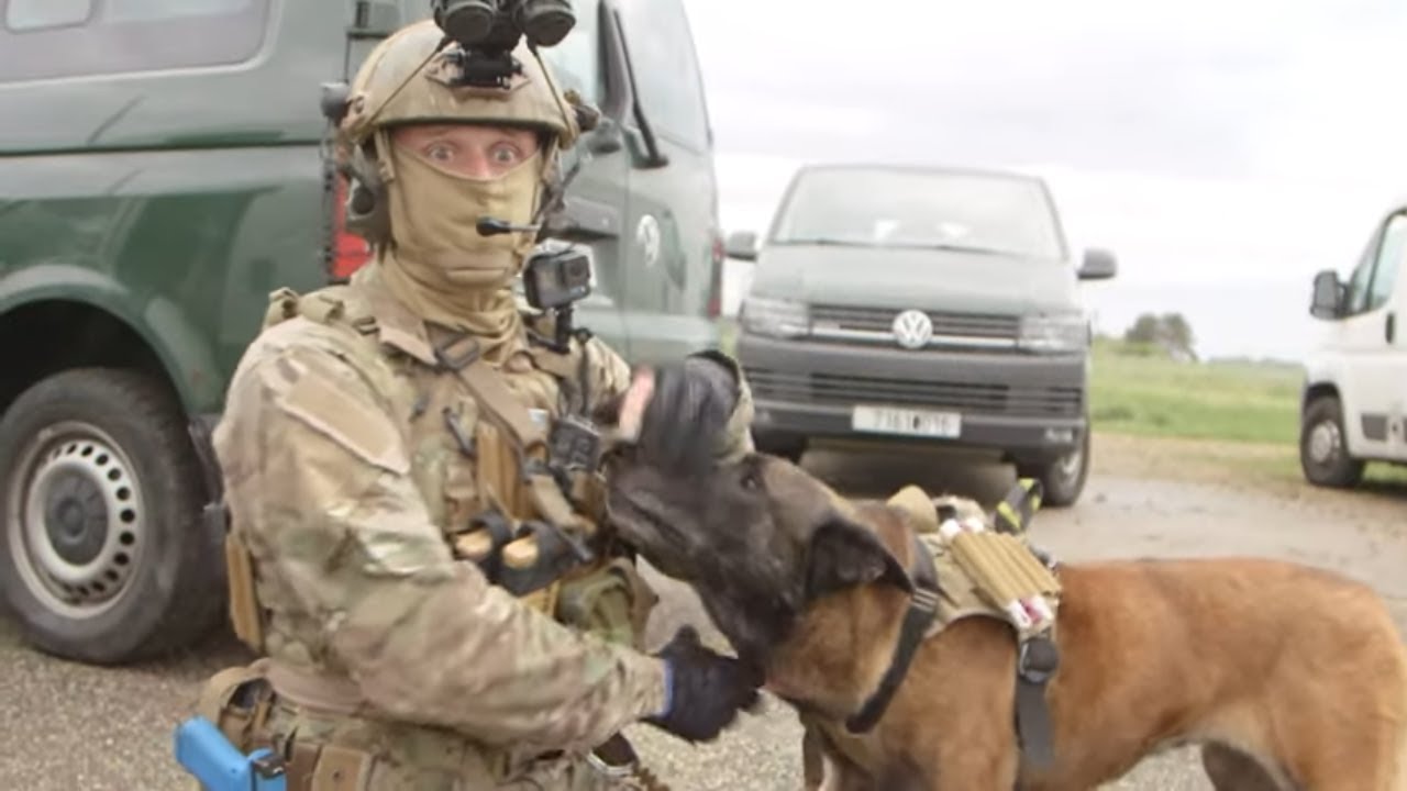 Documentaire Le quotidien d’un chien soldat