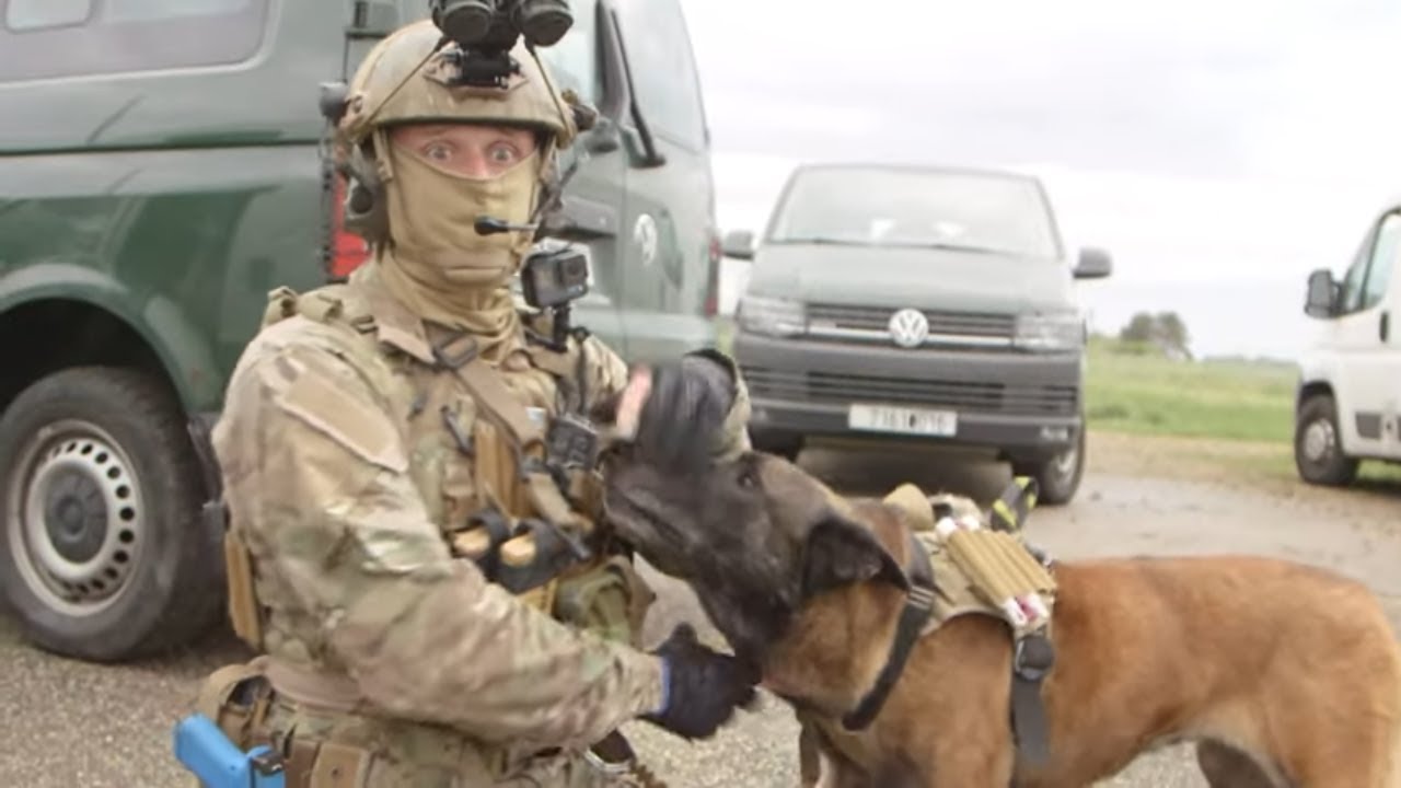 Le quotidien d'un chien soldat