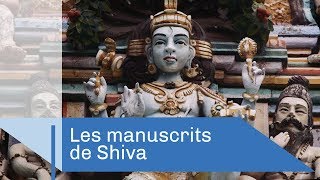 Documentaire Les mystérieux manuscrits de Shiva