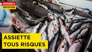Manger tue : l'expérience choc de trois journalistes
