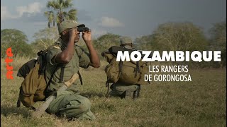 Documentaire Mozambique – Les rangers de Gorongosa en guerre contre les braconniers