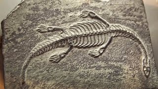 Documentaire Nahuelito, le serpent géant de Patagonie