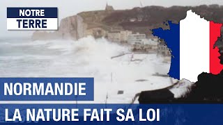 Normandie, la nature fait sa loi