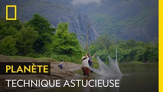 Pêcher du poisson grâce à la technique ancestrale des Lao Loum